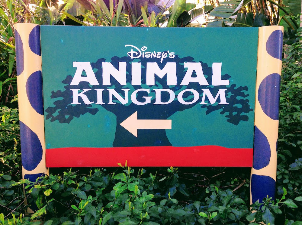 20 Facts For Animal Kingdom's 20th Birthday